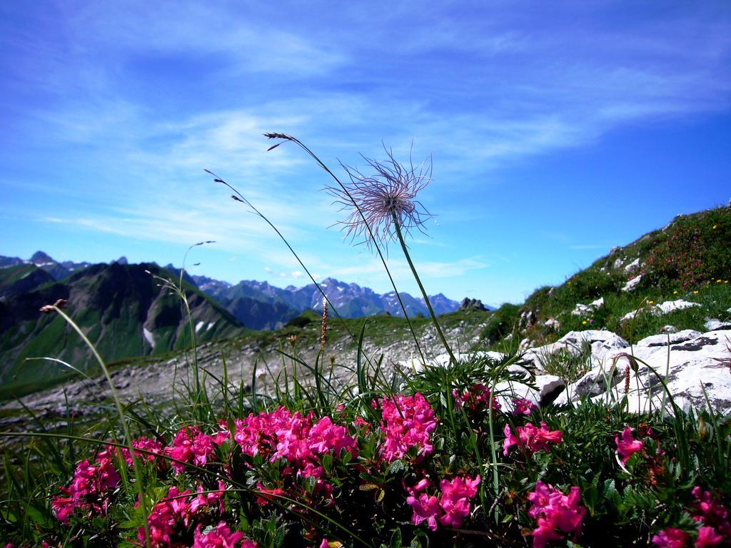 Apartment Alpenflair Whg 201 
